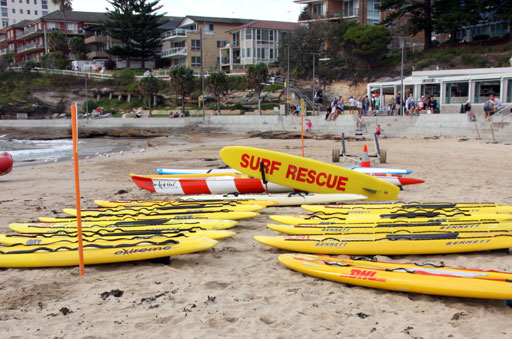 Shark Island Swim Challenge 2015