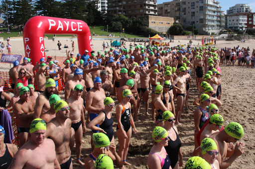 Shark Island Swim Challenge 2015