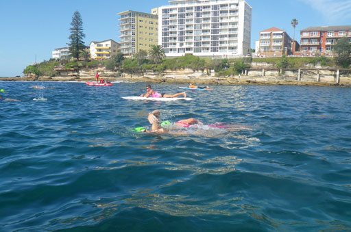 Shark Island Swim Challenge 2015