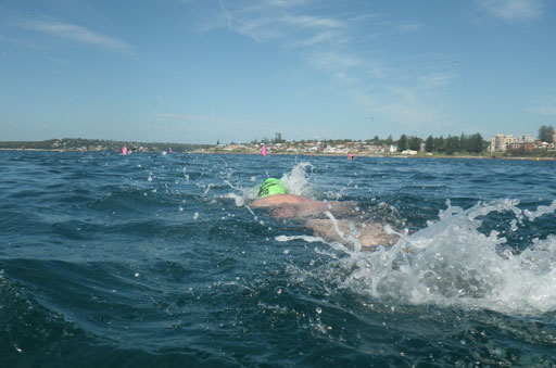 Shark Island Swim Challenge 2015