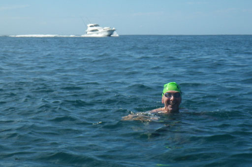 Shark Island Swim Challenge 2015
